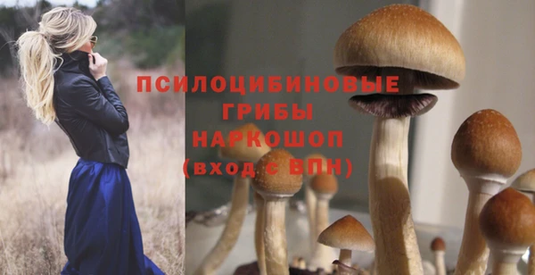 мескалин Медногорск