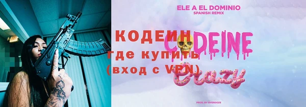 PSILOCYBIN Майский