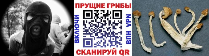 omg как зайти Октябрьск Галлюциногенные грибы ЛСД цены наркотик